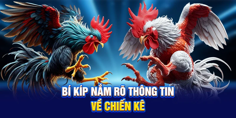 Bí kíp nắm rõ thông tin về chiến kê