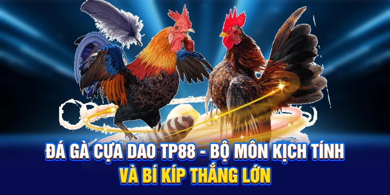 đá gà cựa dao tp88