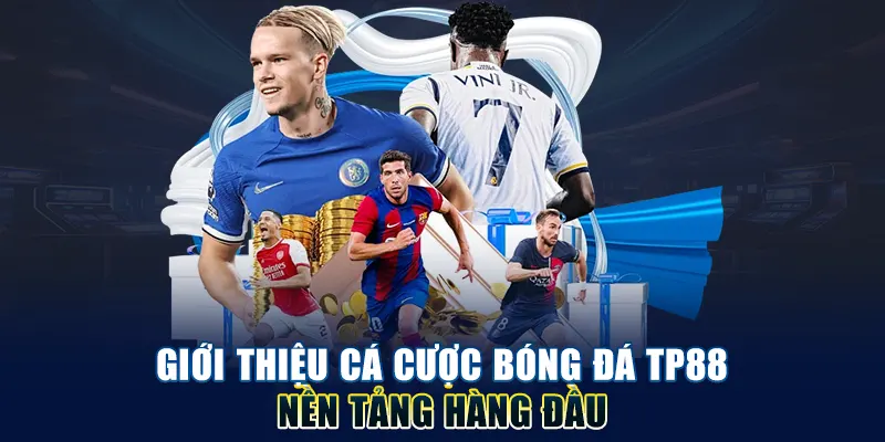Giới thiệu cá cược bóng đá TP88 nền tảng hàng đầu