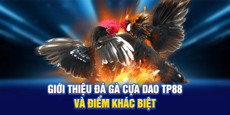 Giới thiệu Đá gà cựa dao TP88 và điểm khác biệt