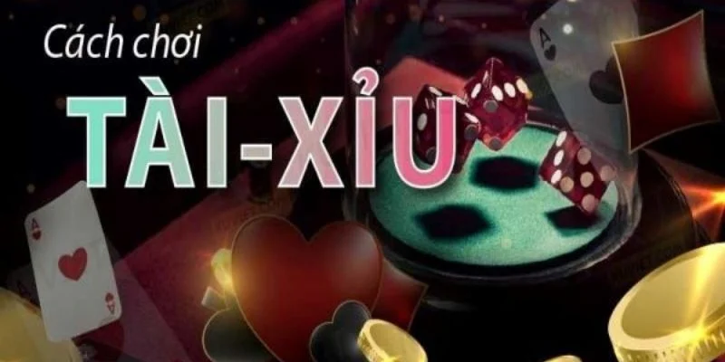 Hướng dẫn cách chơi tài xỉu TP88 chính xác nhất