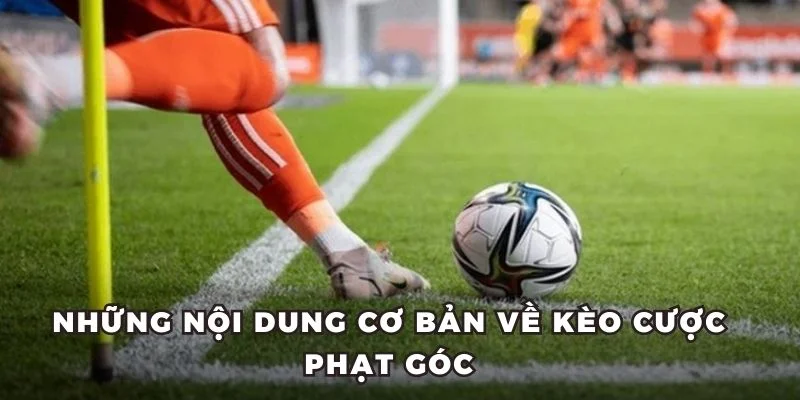 Những nội dung cơ bản về kèo cược phạt góc