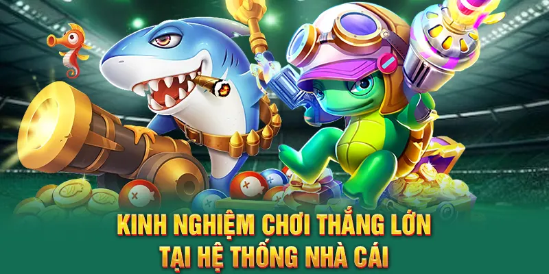 Kinh nghiệm chơi thắng lớn tại hệ thống nhà cái