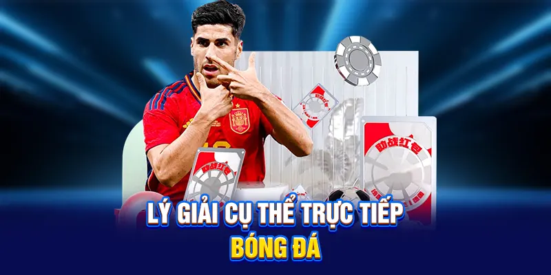 Lý giải cụ thể trực tiếp bóng đá