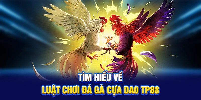 Tìm hiểu về luật chơi đá gà cựa dao TP88
